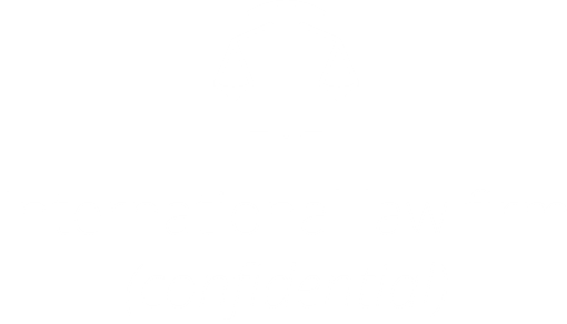 logo customer story
